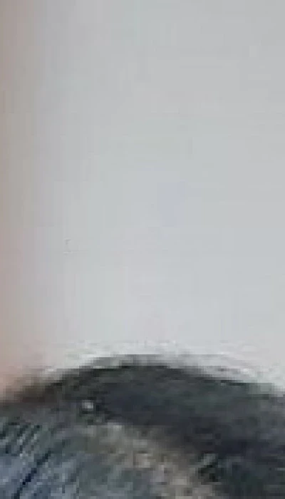 Alexa